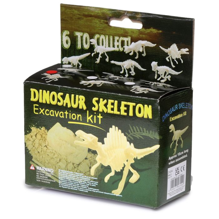Kit dell'Archeologo Scheletro di Dinosauro in miniatura.