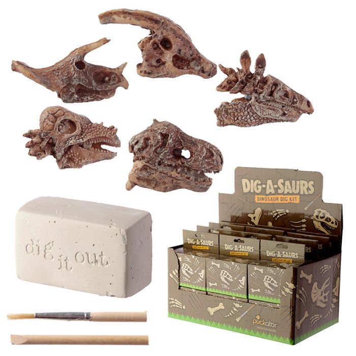 Kit dell'Archeologo - Teschi di Dinosauri