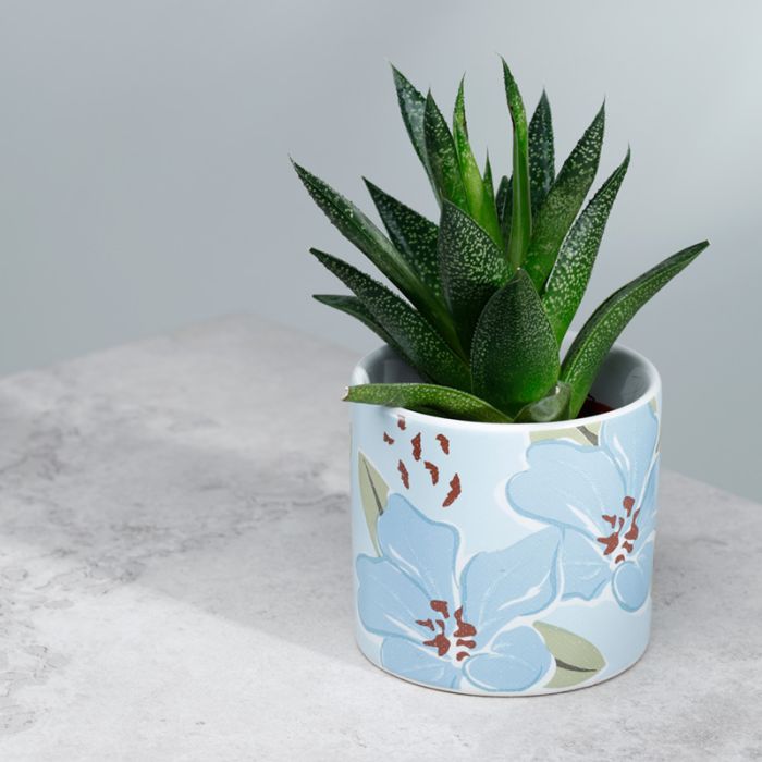 Vaso da Interno in Ceramica - Hesperantha - Florens - Piccolo