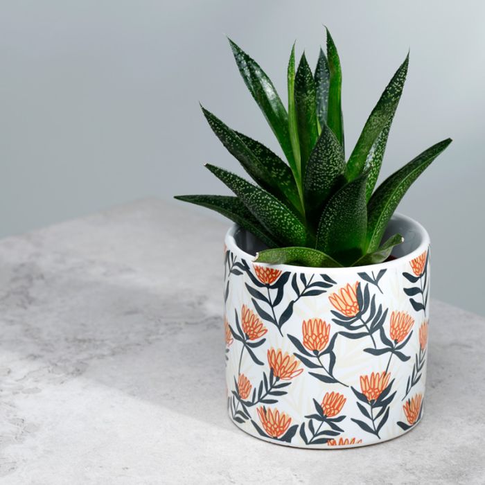 Vaso da Interno in Ceramica - Protea - Sogno Floreale - Piccolo